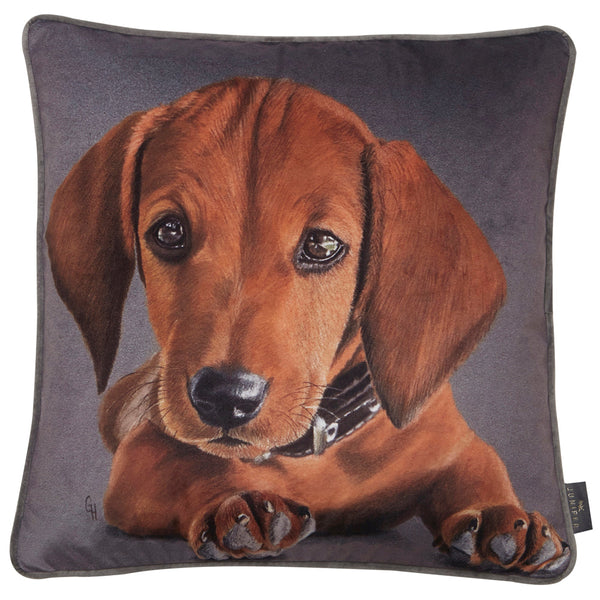 Printed Dachsund Cushion